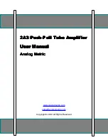 Analog Metric 2A3 User Manual preview