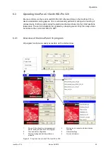 Предварительный просмотр 31 страницы Analytic Jena InnuPure C16 Operating Manual