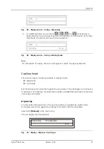 Предварительный просмотр 91 страницы Analytik Jena CyBio Well vario OL3381-25-300 Operating Manual