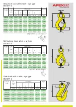 Preview for 4 page of Anchor APEX 100 Use And Maintenance