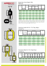 Preview for 7 page of Anchor APEX 100 Use And Maintenance