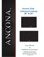 Ancona AN-2402 User'S Manual & Installation Instructions preview