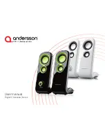 Andersson DPS 1.1 User Manual предпросмотр