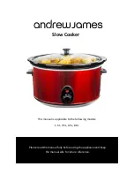 Предварительный просмотр 1 страницы Andrew James AJ000236 Manual