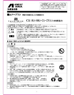 Anest Iwata CM-B2 Manual предпросмотр