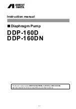 Предварительный просмотр 19 страницы Anest Iwata DDP-160D Instruction Manual