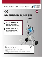 Preview for 1 page of Anest Iwata DDP 70 B series Instruction, Use And Maintenance Manual