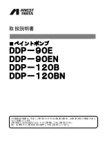 Предварительный просмотр 1 страницы Anest Iwata DDP 90 E Series Manual