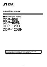 Предварительный просмотр 20 страницы Anest Iwata DDP 90 E Series Manual