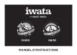 Preview for 19 page of Anest Iwata IS800 Operating Instructions Manual