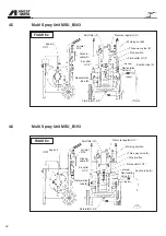 Preview for 18 page of Anest Iwata MSU B193 Use And Maintenance Manual