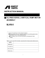 Preview for 1 page of Anest Iwata SLVB-5 Instruction Manual