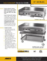 Preview for 1 page of Anetsberger Brothers GoldenGrill A24X48GC Specifications