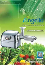 Angel ANGELIA Operation Manual preview