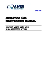 ANGI ENERGY SYSTEMS CNG Operation And Maintenance Manual предпросмотр