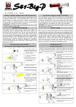 Предварительный просмотр 1 страницы ANI S41-Big-P Quick Start Manual