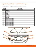 Предварительный просмотр 4 страницы Animated Lighting Haunted House in a Box Assembly And Operating Instructions Manual