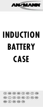 ANSMANN INDUCTION BATTERY CASE Operating Instruction preview