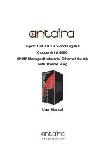 ANTAIRA Lanolinx LNX-1002GN User Manual preview