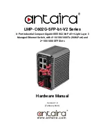 ANTAIRA LMP-C602G-SFP-bt-T-V2 Hardware Manual предпросмотр