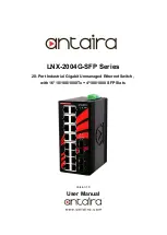 Предварительный просмотр 1 страницы ANTAIRA LNX-2004G-SFP Series User Manual