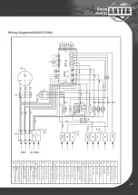 Предварительный просмотр 21 страницы ANTEK AIR MAGNA 150 Installation And Maintenance Instructions Manual