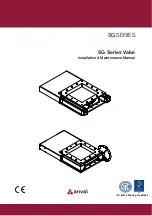 Предварительный просмотр 1 страницы Anval SG 300 Installation & Maintenance Manual