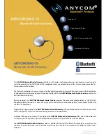 Anycom BSH-100 Specification Sheet предпросмотр