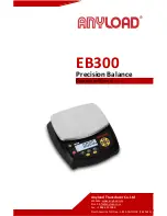 Anyload EB300 Operation Manual preview