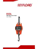 Anyload OCSL User Manual предпросмотр