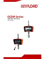 Anyload OCSM Series User Manual preview