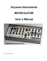 Anyware Instruments Moodulator User Manual preview