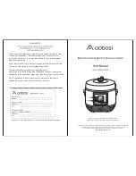 Предварительный просмотр 1 страницы Aobosi YBW60-100Q1 User Manual