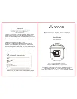 Предварительный просмотр 1 страницы Aobosi YBW80-120G User Manual