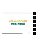 AOpen 100 IDE RAID Manual preview