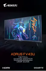 Предварительный просмотр 1 страницы AORUS GIGABYTE FV43U User Manual