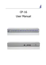 Apantac CP-16 User Manual preview