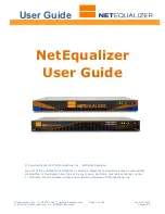 APconnections NETEQUALIZER NE 3000 User Manual preview