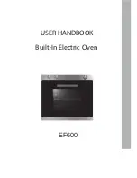 Apelson EF600 User Handbook Manual preview