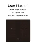 Apelson ICONFLEX60F User Manual preview