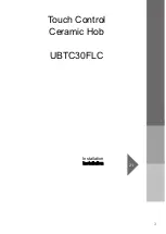 Предварительный просмотр 3 страницы Apelson UBTC30FLC User Manual