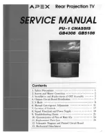 Apex Digital GB4308 Service Manual preview