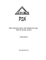 Apex Hi-Fi P2X Instructions Manual preview