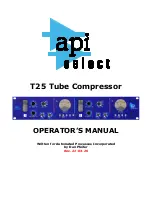 API Select T25 Operator'S Manual предпросмотр