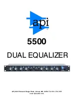 Preview for 1 page of API 5500 Manual