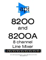 Preview for 1 page of API 8200 User Manual