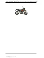 Предварительный просмотр 4 страницы APRILIA DORSODURO FACTORY ABS 2011 Service Station Manual