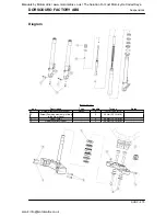 Предварительный просмотр 275 страницы APRILIA DORSODURO FACTORY ABS 2011 Service Station Manual