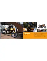 Предварительный просмотр 3 страницы APRILIA PEGASO 650 -  2009 Brochure