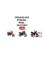 Предварительный просмотр 9 страницы APRILIA PEGASO 650 FACTORY Manual